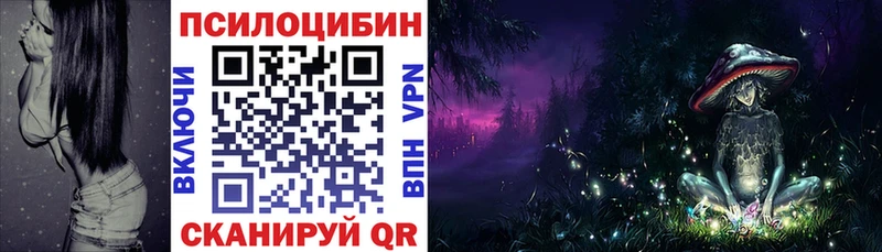 гидра ТОР  Новотроицк  Псилоцибиновые грибы Magic Shrooms 