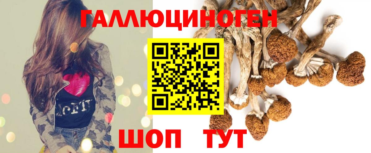 Новотроицк  Псилоцибиновые грибы Psilocybine cubensis  Вход с VPN  Галлюциногенные грибы Psilocybe 